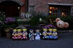 Dcim7839/DSC_6353