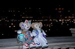 Dcim7839/DSC_6386