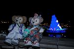 Dcim7841/DSC_6649