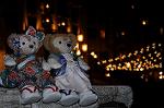 Dcim7841/DSC_6720