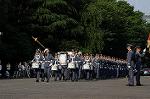 Dcim7845/DSC_6981