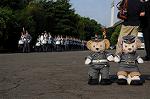 Dcim7845/DSC_6986
