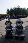 Dcim7846/DSC_7100