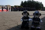 Dcim7846/DSC_7108