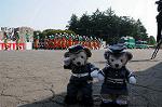 Dcim7848/DSC_7359