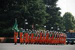 Dcim7848/DSC_7388