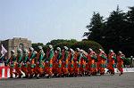 Dcim7848/DSC_7401