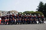Dcim7848/DSC_7447