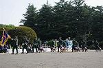 Dcim7849/DSC_7487