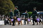 Dcim7849/DSC_7490
