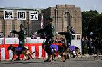 Dcim7849/DSC_7494