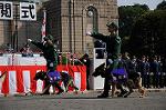 Dcim7849/DSC_7497