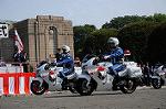 Dcim7851/DSC_7744