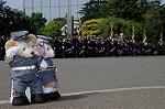Dcim7851/DSC_7844