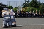 Dcim7851/DSC_7845