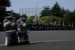 Dcim7851/DSC_7847