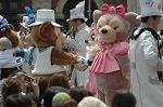 Dcim7852/DSC_8945