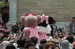 Dcim7852/DSC_8953