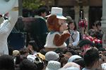 Dcim7852/DSC_8954