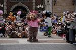 Dcim7859/DSC_7958