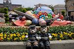 Dcim7859/DSC_7998