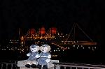 Dcim7865/DSC_8741