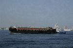 Dcim7879/DSC_0010