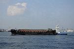 Dcim7879/DSC_0013