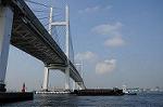 Dcim7879/DSC_0015