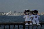 Dcim7879/DSC_0023