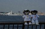 Dcim7879/DSC_0024