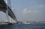Dcim7879/DSC_0035