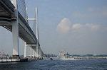 Dcim7879/DSC_0036