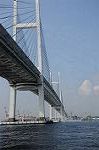 Dcim7879/DSC_0038