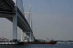 Dcim7879/DSC_0050