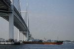 Dcim7879/DSC_0051