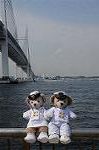 Dcim7879/DSC_0084