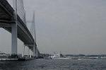 Dcim7879/DSC_0093