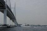 Dcim7879/DSC_0095