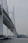 Dcim7879/DSC_0109