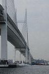 Dcim7879/DSC_0110