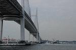 Dcim7879/DSC_0114