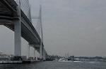 Dcim7879/DSC_0121