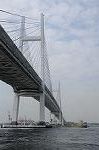 Dcim7879/DSC_0127