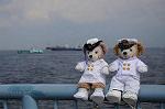 Dcim7880/DSC_0203
