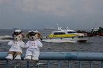 Dcim7880/DSC_0207