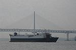 Dcim7880/DSC_0242