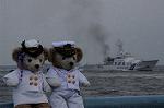 Dcim7881/DSC_0304