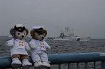 Dcim7882/DSC_0383