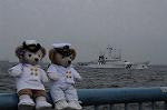 Dcim7882/DSC_0384